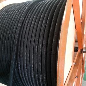 การยืดหยุ่นโพลีเมอร์ แอโนด