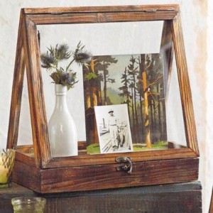 เคสแสดงแก้ว