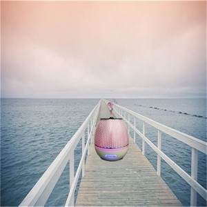 2018 มาใหม่หนุ่มที่อาศัยอยู่พลาสติกน้ำมันหอมระเหยกระจายกลิ่นหอม