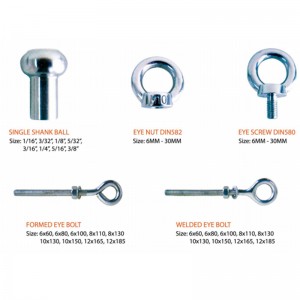 316 ฟอร์จ DIN582 แหวนอ่อนนุช