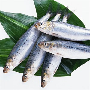 ปลาซาร์ดีนแช่แข็ง