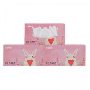 แต่งหน้าลบเช็ด