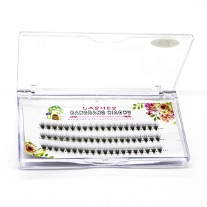 ขนตาขยายขนตาแบบ 2D ถึง 20 D