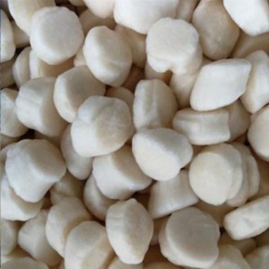 ทะเลแช่แข็งเนื้อหอยเชลล์