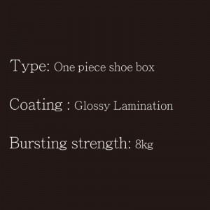 กล่องใส่รองเท้า OP Type1