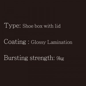 กล่องรองเท้าที่มีฝาปิด Type1