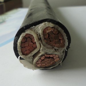 0.6 / 1kv 3 X 6mm2 LV สายไฟ Pvc ฉนวน Cu ของแข็ง / ตัวนำตีเกลียว