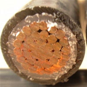 สายไฟ Frls ทนไฟแรงดันต่ำพร้อมตัวนำทองแดง