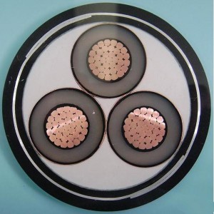 1-30KV 6 มิลลิเมตร 3 Core Swa สายเคเบิลหุ้มเกราะ IEC60502, SANS 1339, BS 6622, AS / NZS1429.1, NFC 33226, CSA C 68.5