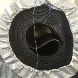 สายพานลำเลียงที่ไม่มีที่สิ้นสุด