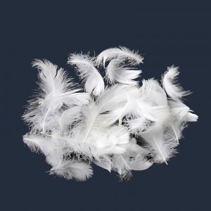 เป็ดธรรมชาติวัสดุขนห่าน