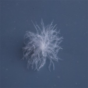 เป็ดธรรมชาติวัสดุขนห่าน