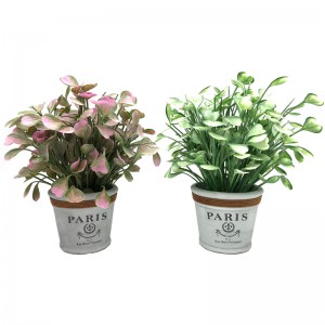 ประดิษฐ์ฉ่ำใบพืชต้นไม้ทรอปิคอลสวนตกแต่งบ้าน