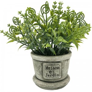 ประดิษฐ์ฉ่ำใบพืชต้นไม้ทรอปิคอลสวนตกแต่งบ้าน