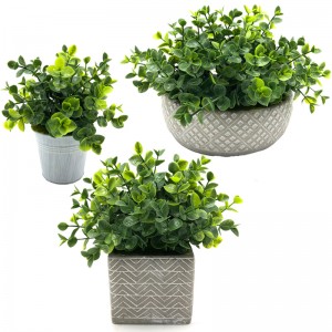 ประดิษฐ์พืชฉ่ำสีเขียวสมจริงทรอปิคอลตกแต่งบ้านสวน