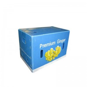 กล่องขิง