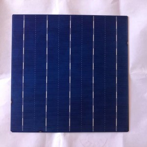 เซลล์คริสตัลไลน์