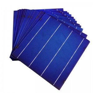 เซลล์คริสตัลไลน์