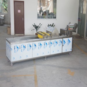 เครื่องล้างผักโอโซนฆ่าเชื้อ (พร้อมอุปกรณ์กำจัดสิ่งเจือปน)