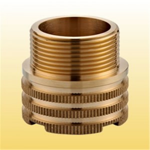 กระชับหญิงแทรก