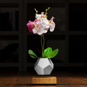 แม่เหล็กลอยลอยกระถางต้นไม้บอนไซอากาศ PA-0708