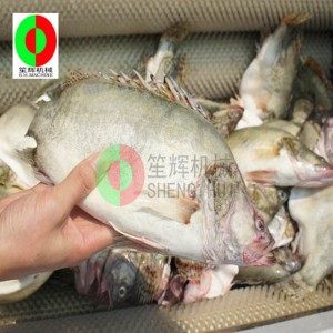 เครื่องทำความสะอาดผลไม้ของแตงโม / ผลไม้ทำความสะอาดเครื่องปอกเปลือกผลไม้ / แตงโมผลไม้แปรงทำความสะอาดเครื่องปอกเปลือก QX-612 ให...