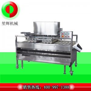 Fruit Cleaner / Fruit Cleaner / Fruit Brush Cleaner (ทำความสะอาดอย่างล้ำลึก) QM-2