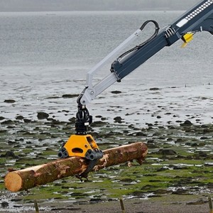 การจัดการไม้ Gantry Crane