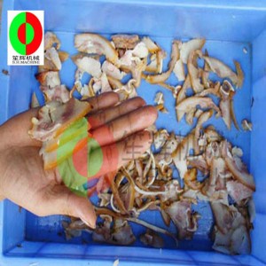 เครื่องสไลด์เนื้ออัตโนมัติ / เครื่องสไลด์เนื้ออเนกประสงค์ / เครื่องสไลด์เนื้อเดสก์ทอปขนาดกลาง QH-500