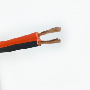 Twin Core รูปที่ 8 สายออโต้