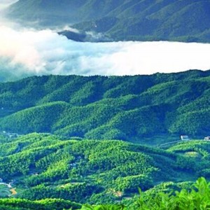 สิบชาของชาหูหนาน anhua ชาดำชาการดูแลสุขภาพ