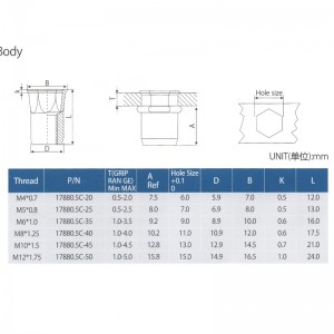 ลด Hex Head Inner-Hex Body
