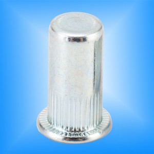 หัวแบน Knurled ร่างกายใกล้สิ้นสุด