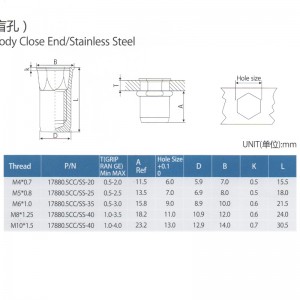 ลด Hex Head Inner-Hex Body Close End