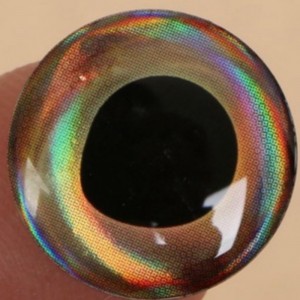 ตาล่อตกปลา, อีพ็อกซี่โดมตาปลา