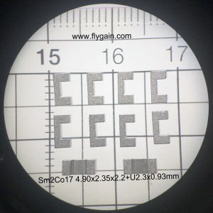 โรงงานจีนที่มีคุณภาพสูงแม่เหล็กความแม่นยำสูงไมโคร