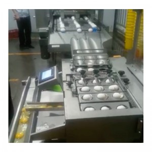 เครื่องล้างไข่แห้ง