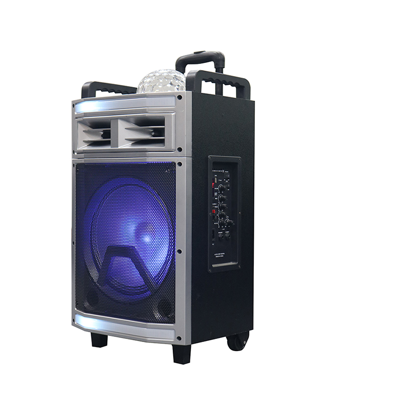 Trollry Speaker Y-B22-12H