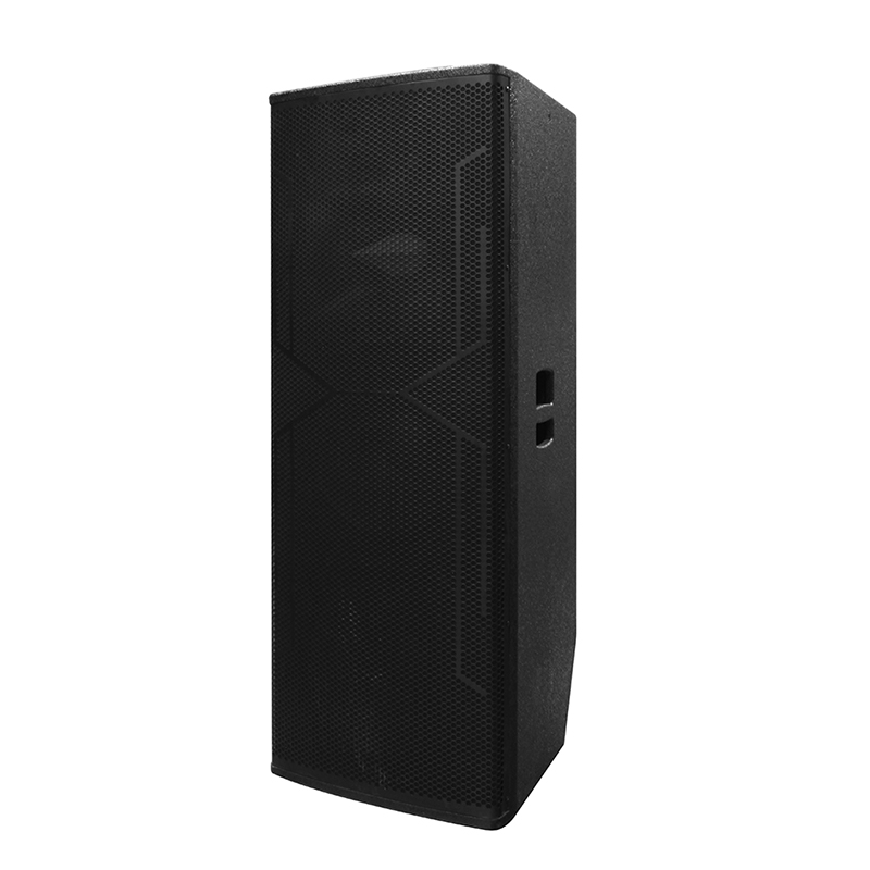 ลำโพง DJ ขนาดใหญ่ Y-450DH