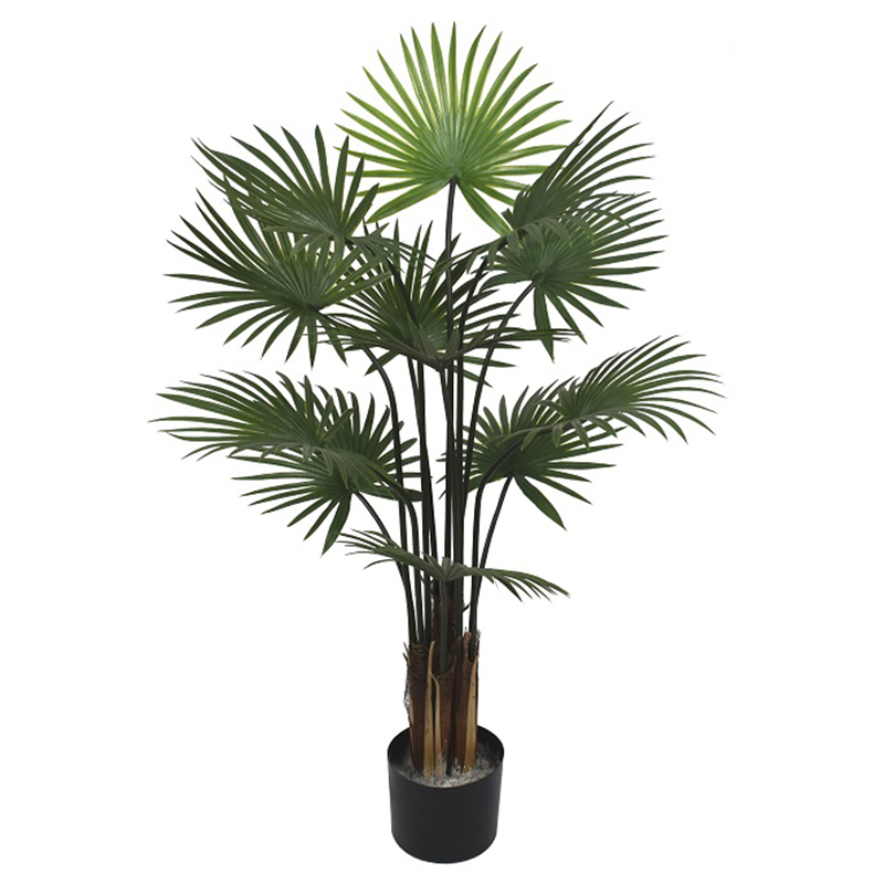 oh01320071 ไม่