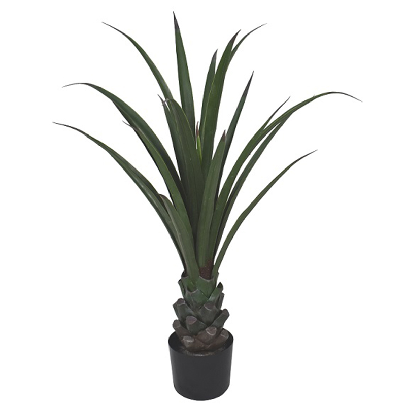 oh013200072 ไม่