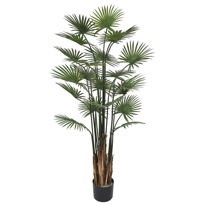 oh013200077 ไม่