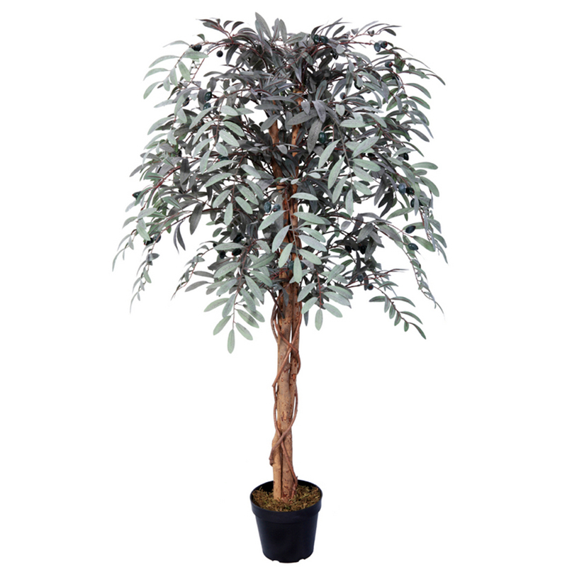 oh02820009 ไม่