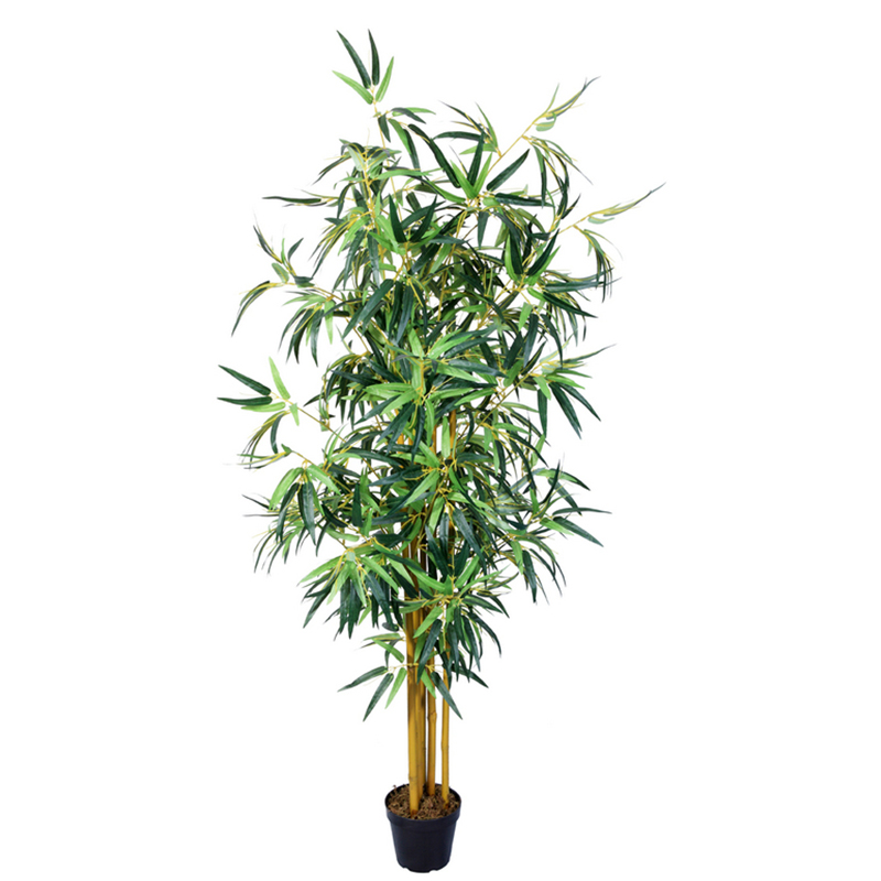 oh02820008 ไม่