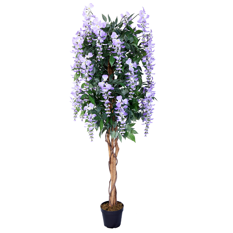 oh02820021 ไม่