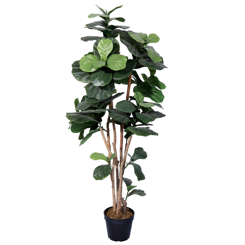 oh028200002 ไม่