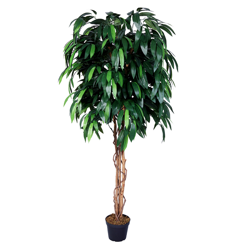 oh028200025 ไม่