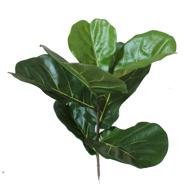 oh01620009 ไม่