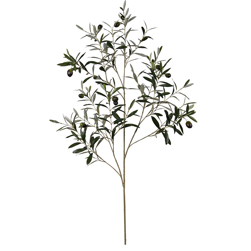 ประเภท oh01620000