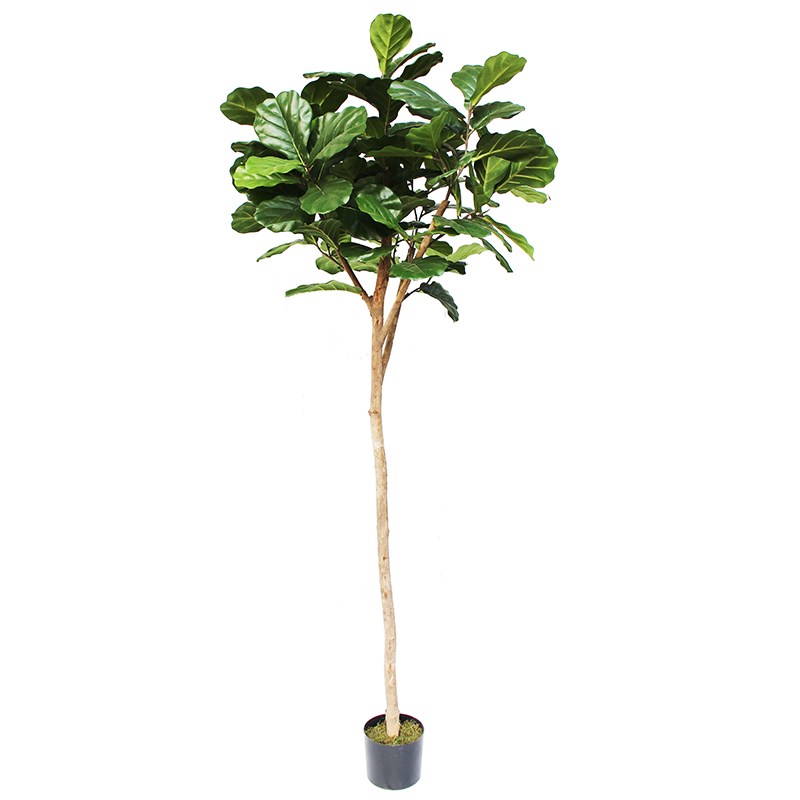 oh016200002 ไม่